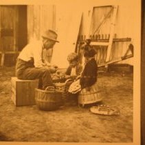 John S. Clapp Sr. and Jr. and Olive Clapp. cutting seed potatoes.