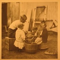 John S. Clapp Jr. and Sr., Olive Clapp, and an unidentified child cutting seed potatoes