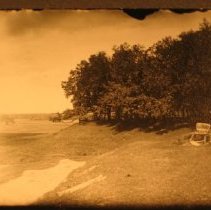 A hill, meadow and trees