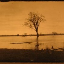 Meadow from Wm Wood's