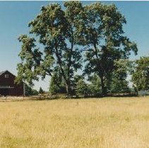 Barns and Pastures, South Windsor, CT, 1986