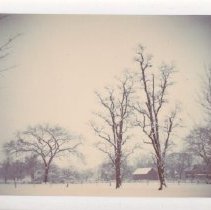 Bissell Tavern grounds in winter