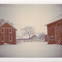 Bissell Tavern barns in winter