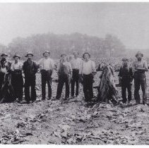 Tobacco workers on Vibert Farm