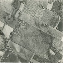 Orchard Hill area aerial photograph