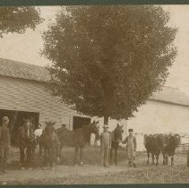 Foster Farm with animals