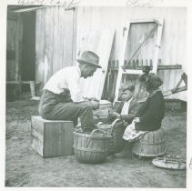 John Selden Clapp Jr. and Sr. and Olice Clapp, cutting seed potatoes