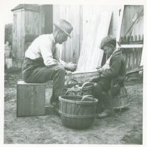 John Selden Clapp Jr. and Sr. cutting seed potatoes