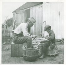 John Selden Clapp Sr and Jr cutting seed potatoes