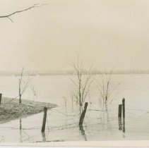 Flooding at Town Farm
