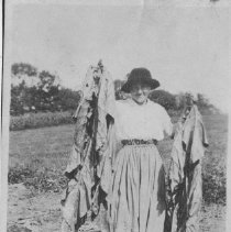 Cecile Moulton with tobacco