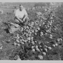 Clint Buckland in his potato field