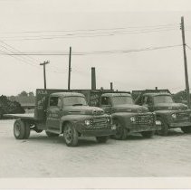 Pola Brick delivery trucks