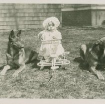 Charlotte Andross Collins as a baby flanked by dogs