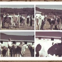 Stills from Helen Zagorski Krawski video