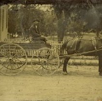 Tintype of a man driving a horsecart, possibly Henry C. Hayes