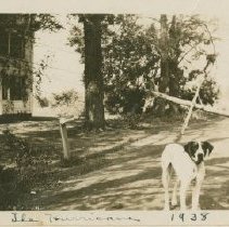 Telephone pole down after the 1938 Hurricane