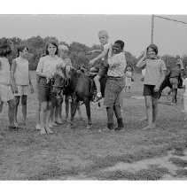 Orchard Hill playground festival