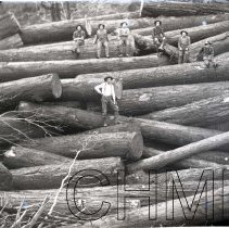 Loggers with Logs