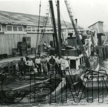 The Purse Seiner ST ANTHONY