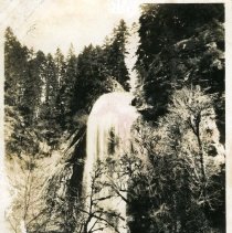 Silver Falls - Coos County Ore