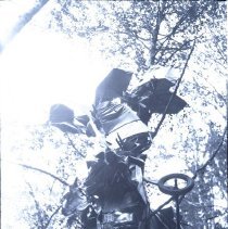 Airplane Wreck near Marshfield/Coquille Highway