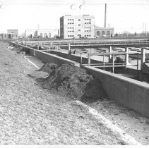 Northeast Primary Tank. Overall view of primary tanks showing amount of grit removed from the sump pit. Pictures A, B & C show piles at each tank.