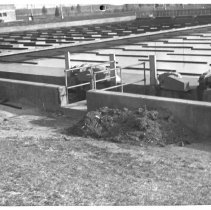 Northeast Primary Tank. Picture A. Primary No. 2