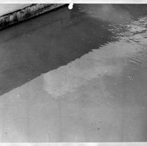 Northeast Primary Tank. Influent end of Primary Tank No. 1. Showing suspended solids.