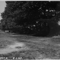 Northeast Plant. Trench line north of oil storage building.