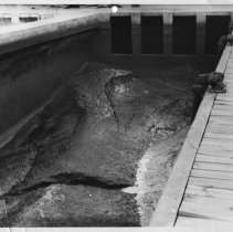 Northeast. [Sludge?]