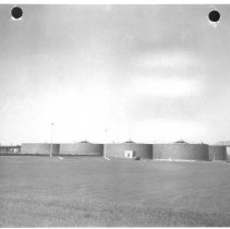 Northeast plant. Series