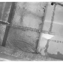 Northeast plant. Series