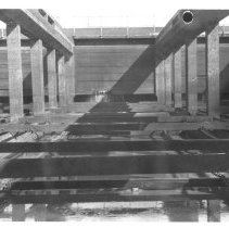 Northeast plant. Series