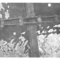 Northeast plant. Series