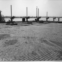 Northeast Plant. Southwest  surface of pier.