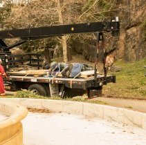 Digital Image, Photographic