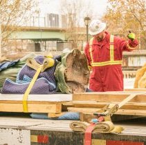 Digital Image, Photographic