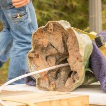 Digital Image, Photographic