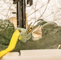 Digital Image, Photographic