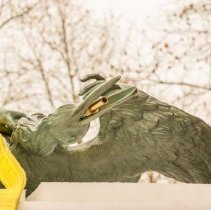 Digital Image, Photographic