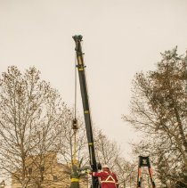 Digital Image, Photographic