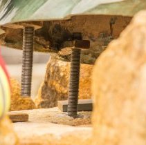 Digital Image, Photographic