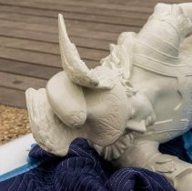 Digital Image, Photographic