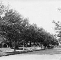 Laurel Residential Street   001