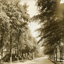 5th Ave Phil Gardiner