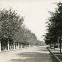 500 Block Of 5th Ave Facing North