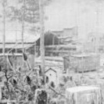 Eastman Gardiner 002