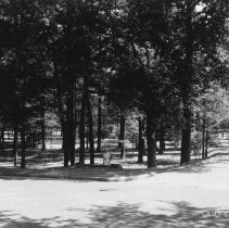 Gardiner Park From 2nd Avenue078