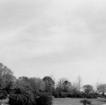 Lake Park Cemetary Tebbs And Knell104